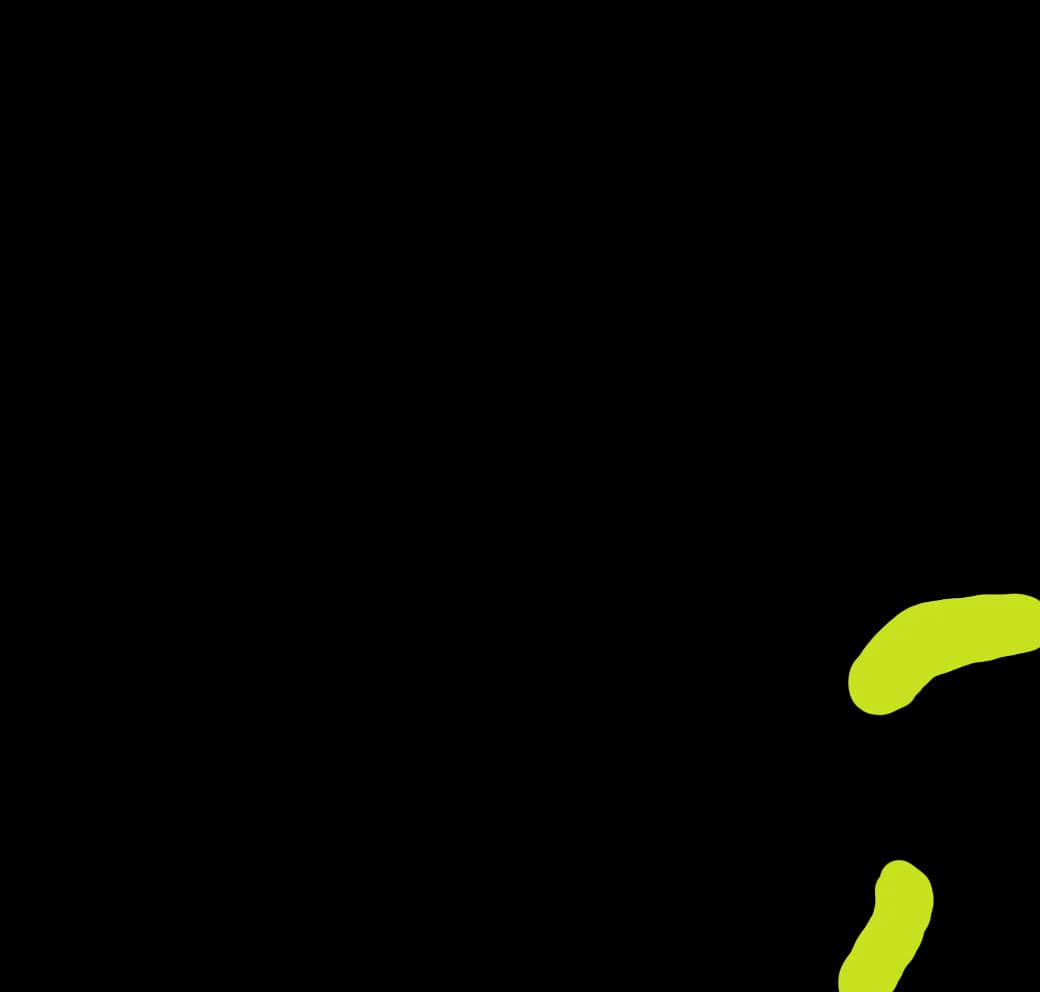 K9 Lazy Zona Overlay